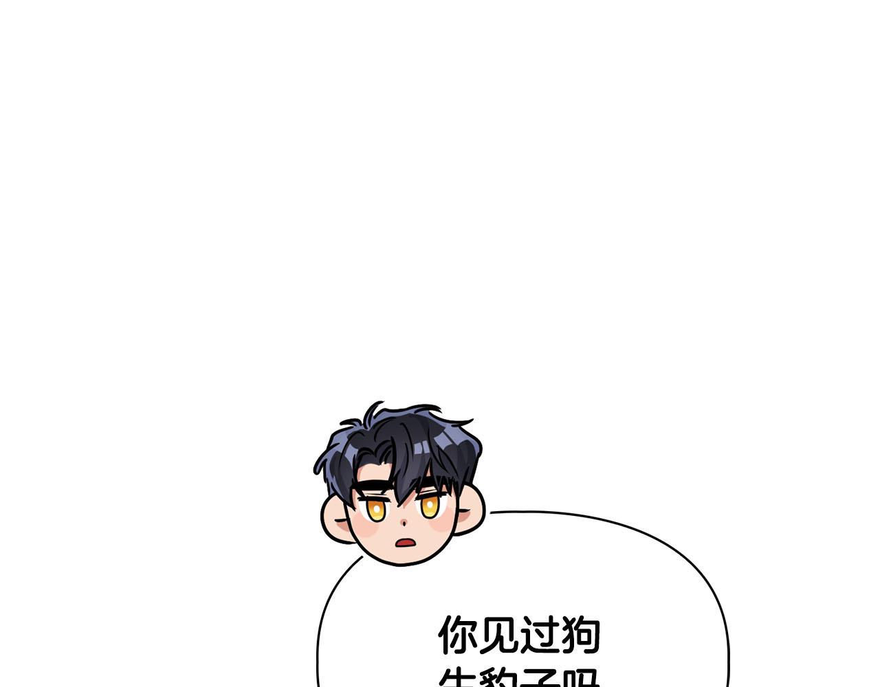 《顶级猎物》第43话 食物链 第9页