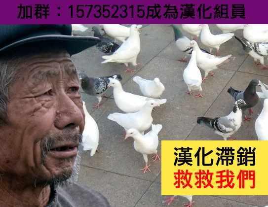 《和高冷妻子的新婚生活》不熟练的两人 推特版07 第10页