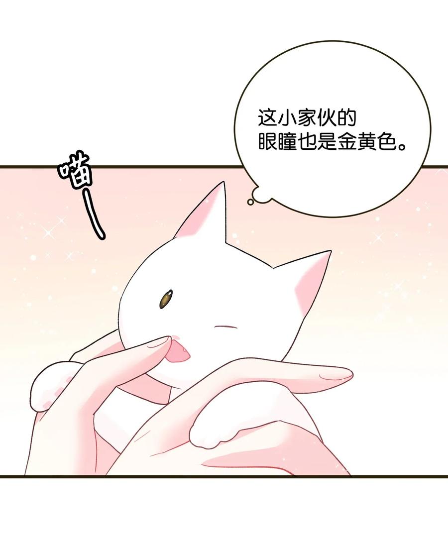《那小姐的执事》17 有话要说 第20页