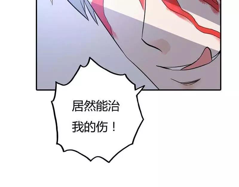 《嗜血王爵的告白》第1话 天降什么鬼啊 第39页