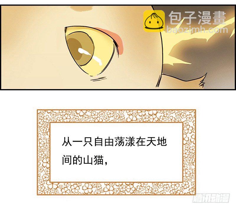 《妖精大作战》初话前传 第11页