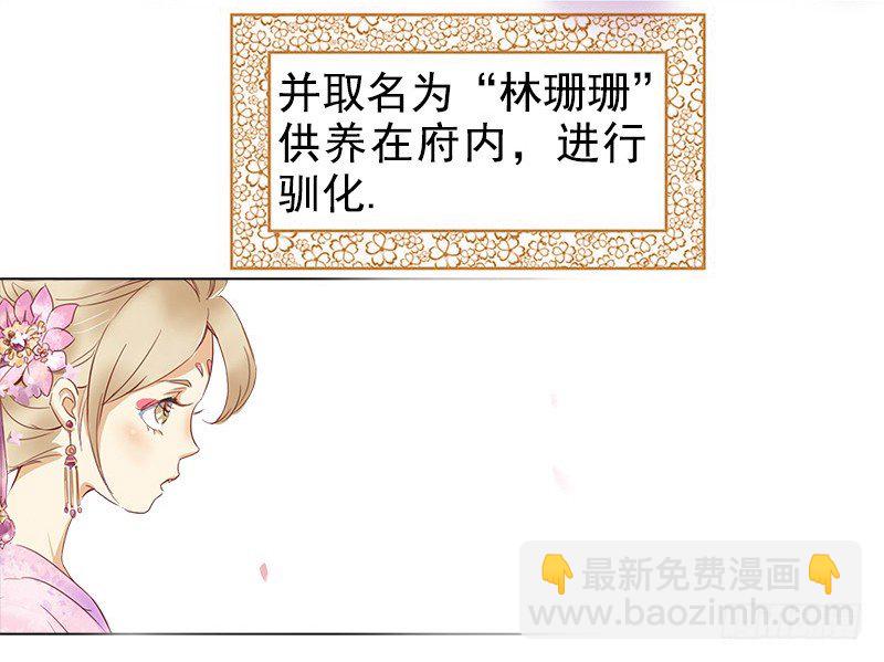《妖精大作战》初话前传 第28页