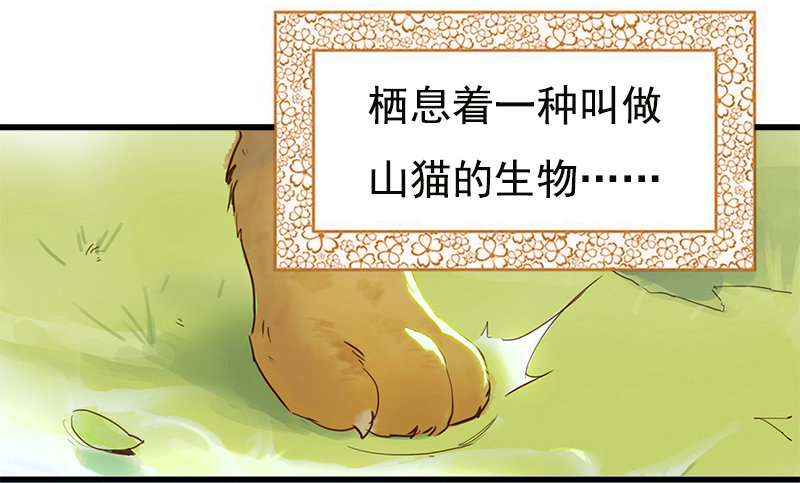 《妖精大作战》初话前传 第4页
