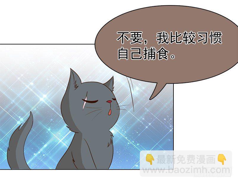 《妖精大作战》四话我要进剧组 第12页
