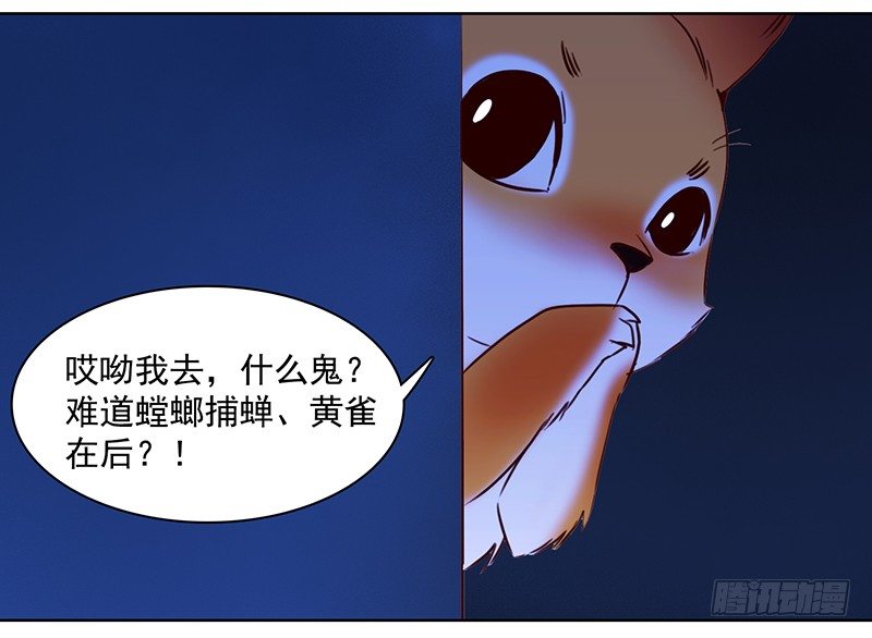 《妖精大作战》八话赌注？你玩得起吗？ 第31页