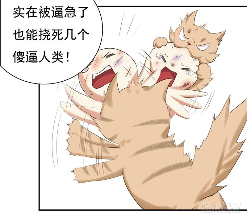 《妖精大作战》三十五话居然敢去探望夏冰冰？ 第6页
