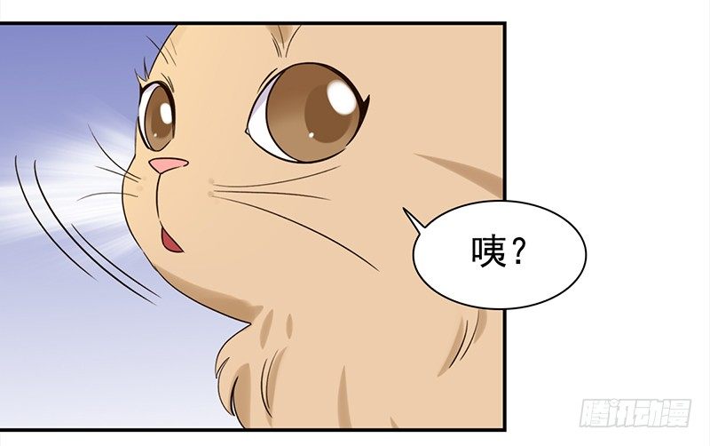 《妖精大作战》三十七话夏冰冰 第38页