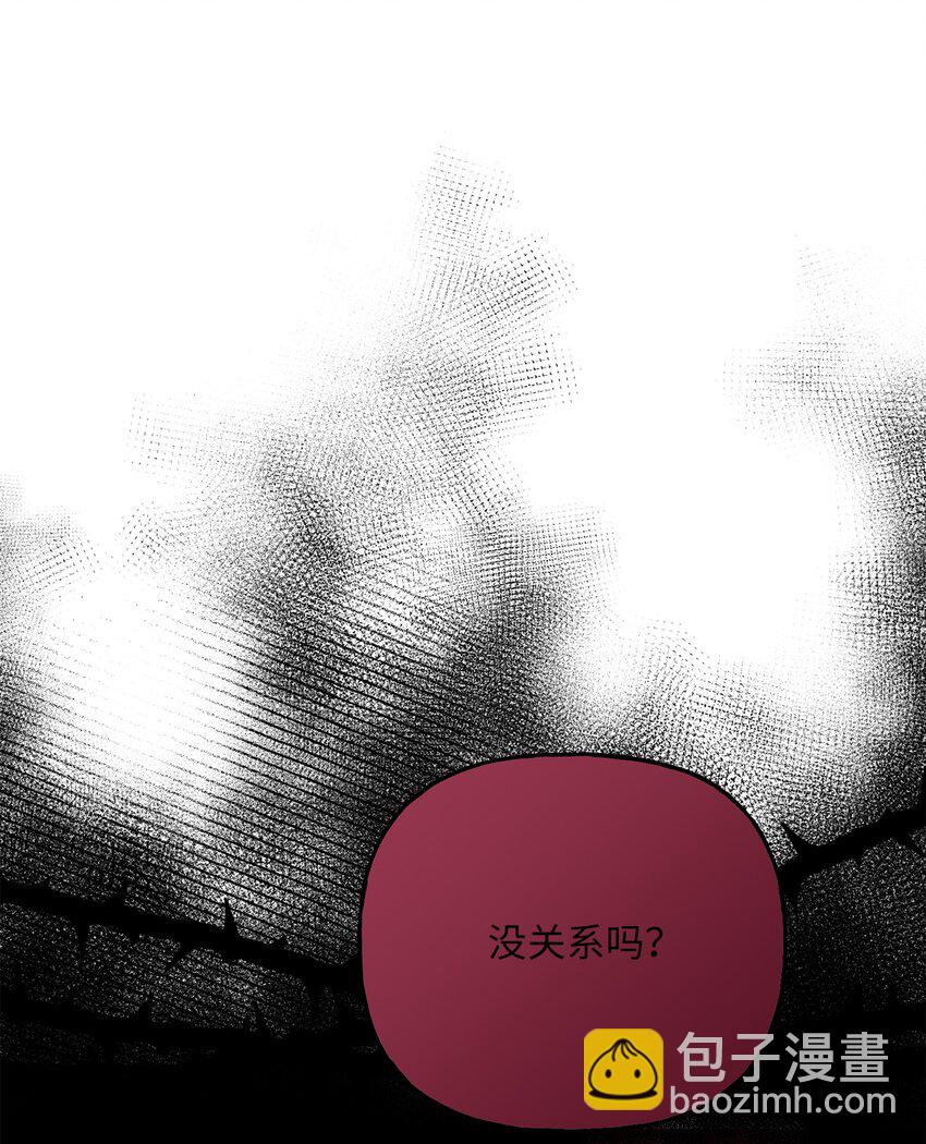 《黑幕的年幼资助人》08 筹码 第27页