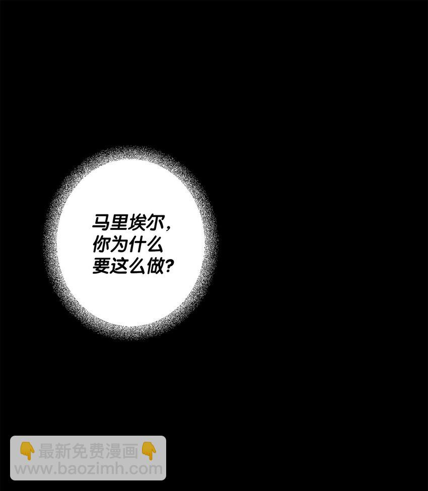 《黑幕的年幼资助人》25 好事成双 第28页