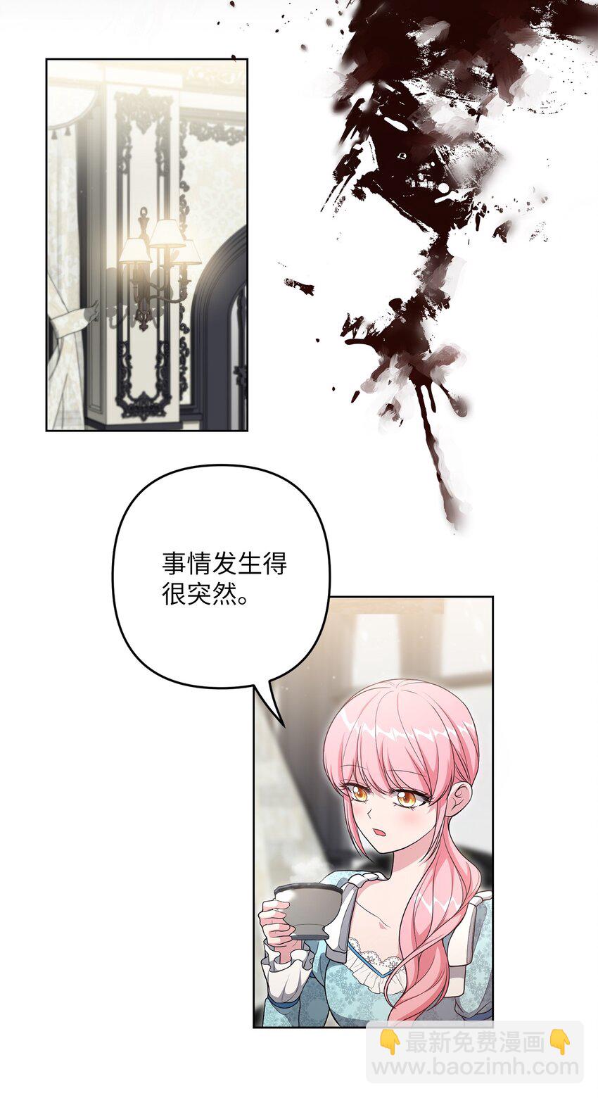 《黑幕的年幼资助人》25 好事成双 第40页