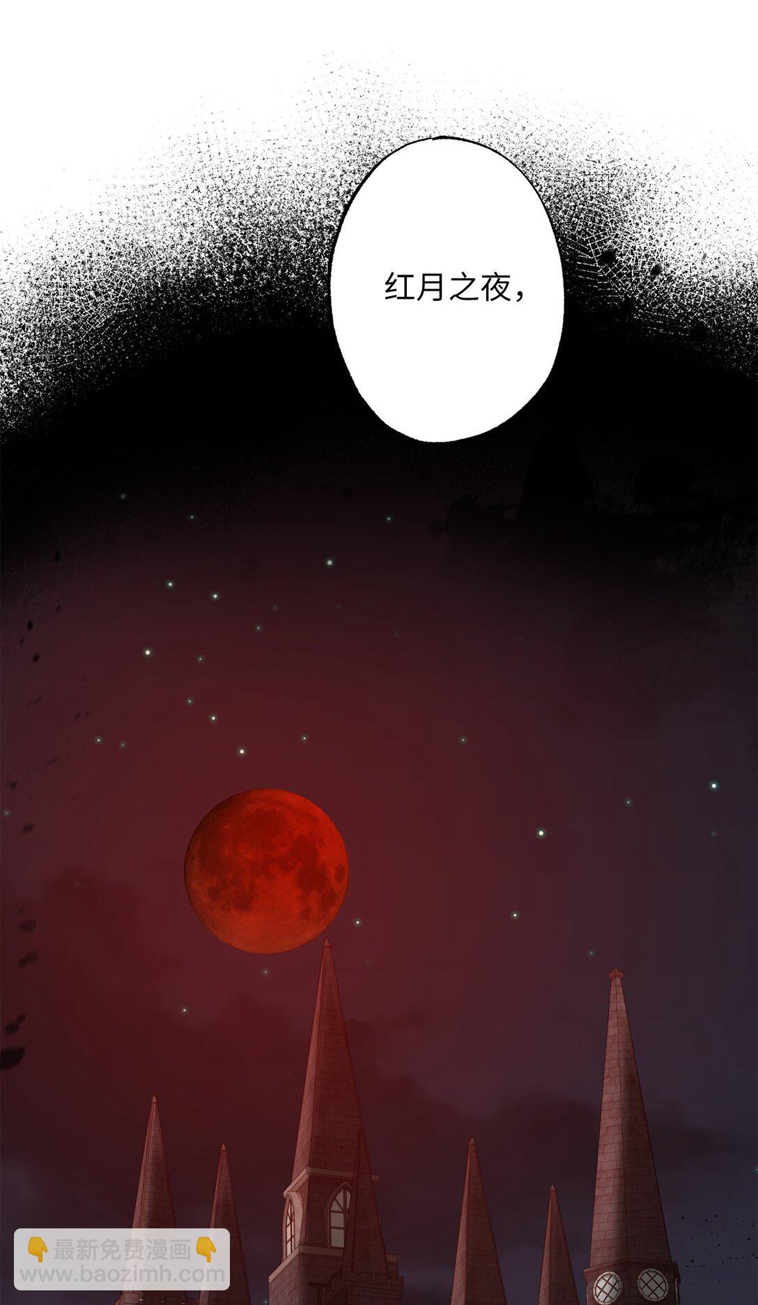 《黑幕的年幼资助人》43 埃尔米拉的掌权人 第13页