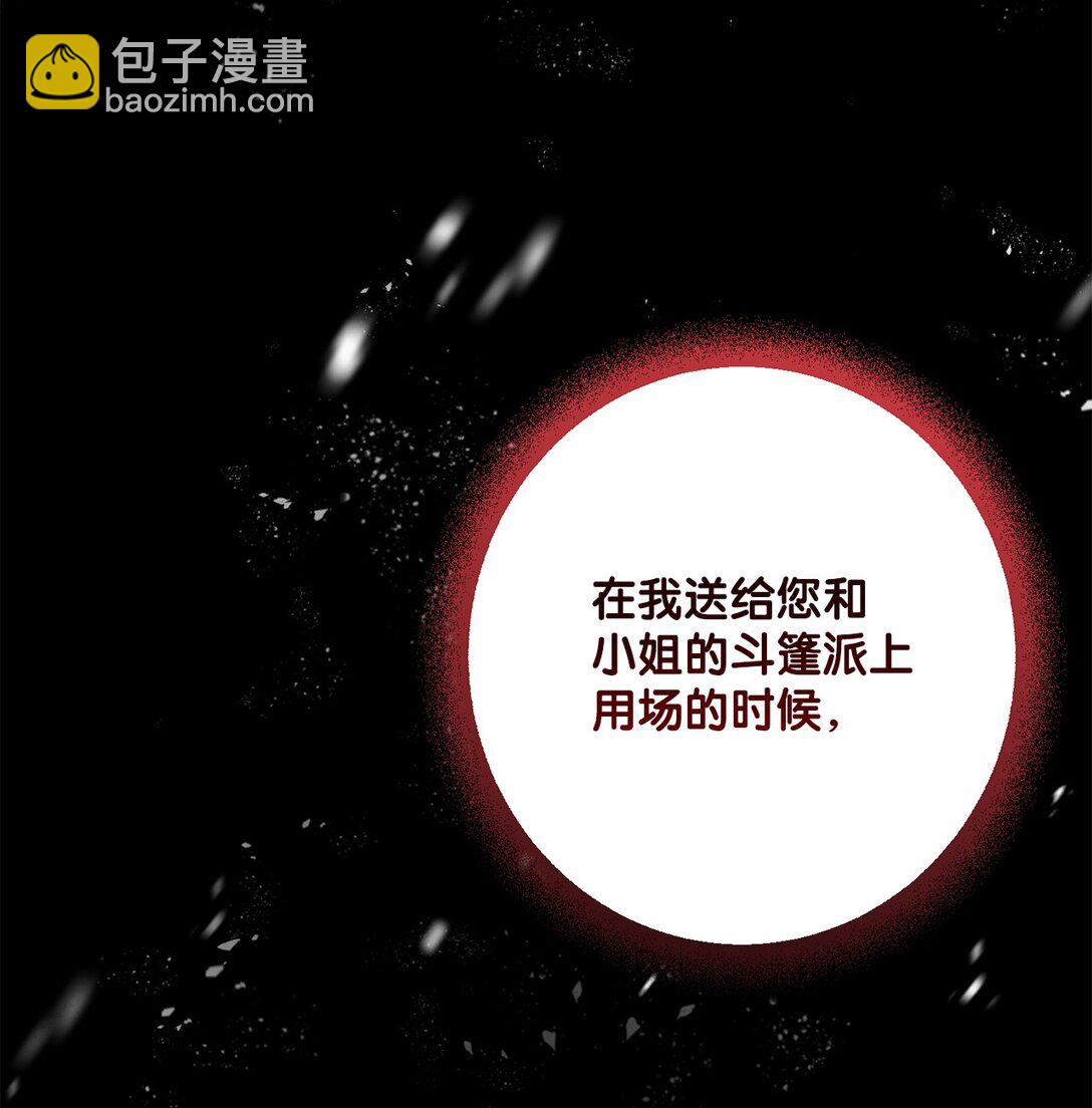 《黑幕的年幼资助人》46 艾梅利王国的后代 第14页