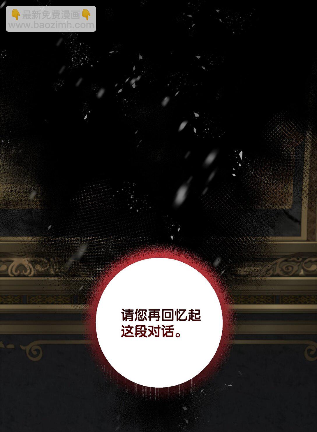 《黑幕的年幼资助人》46 艾梅利王国的后代 第15页