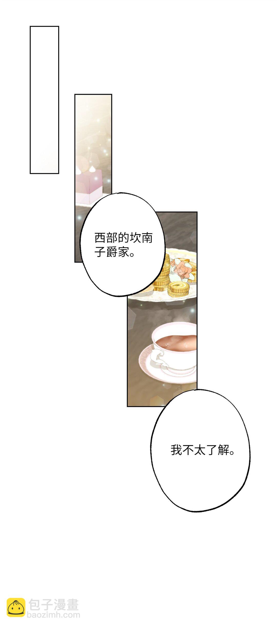《黑幕的年幼资助人》46 艾梅利王国的后代 第48页
