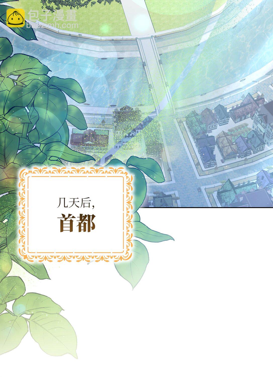 《黑幕的年幼资助人》50 胸针 第24页