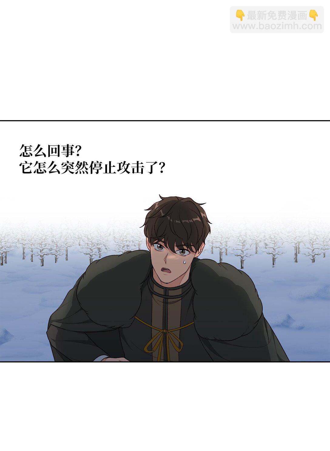 《黑幕的年幼资助人》50 胸针 第5页