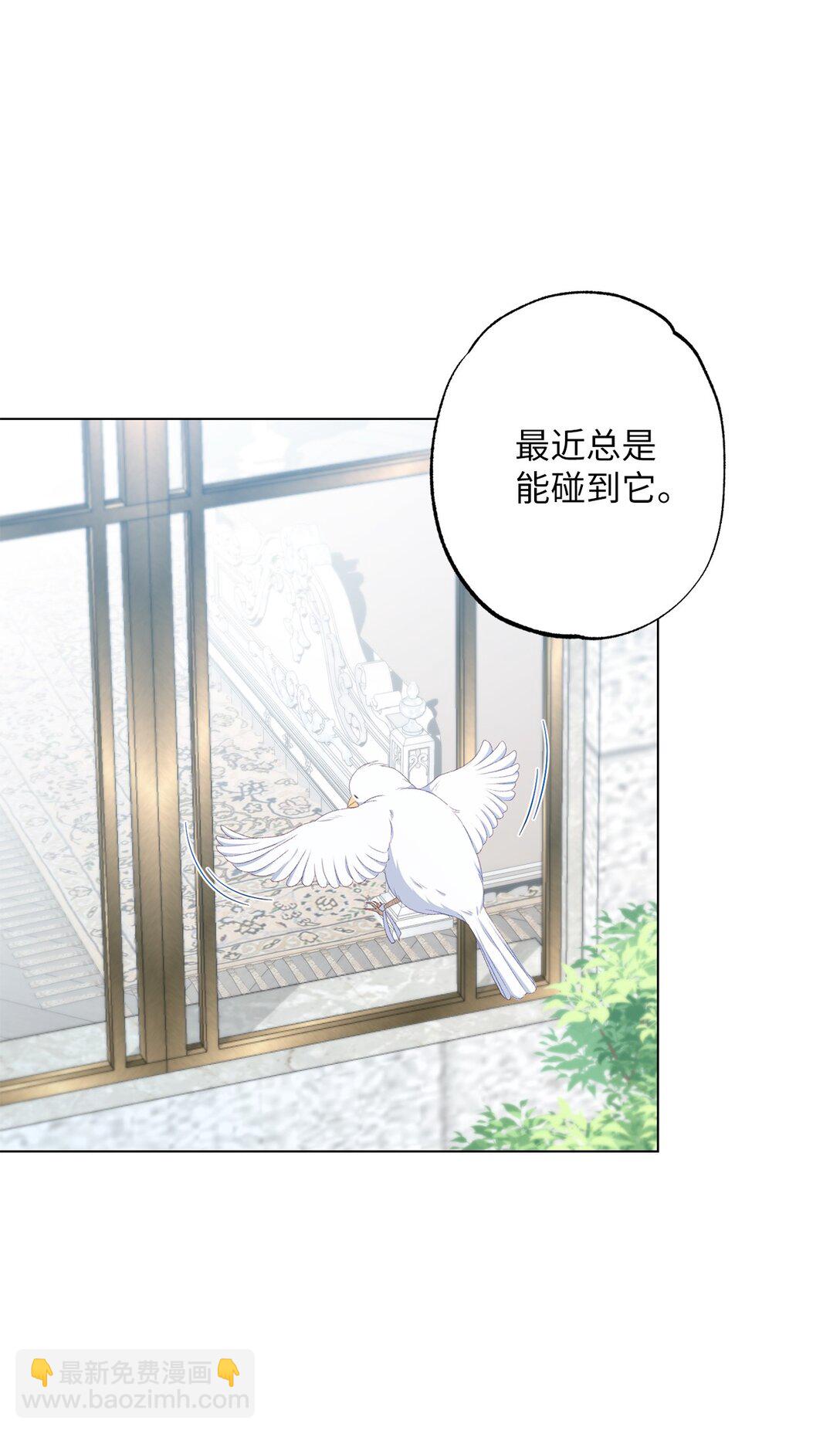 《黑幕的年幼资助人》55 神明的礼物 第11页