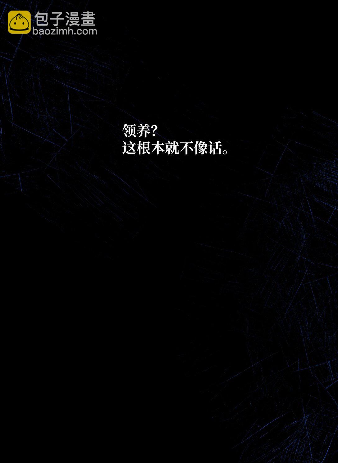 《黑幕的年幼资助人》53 建议 第28页