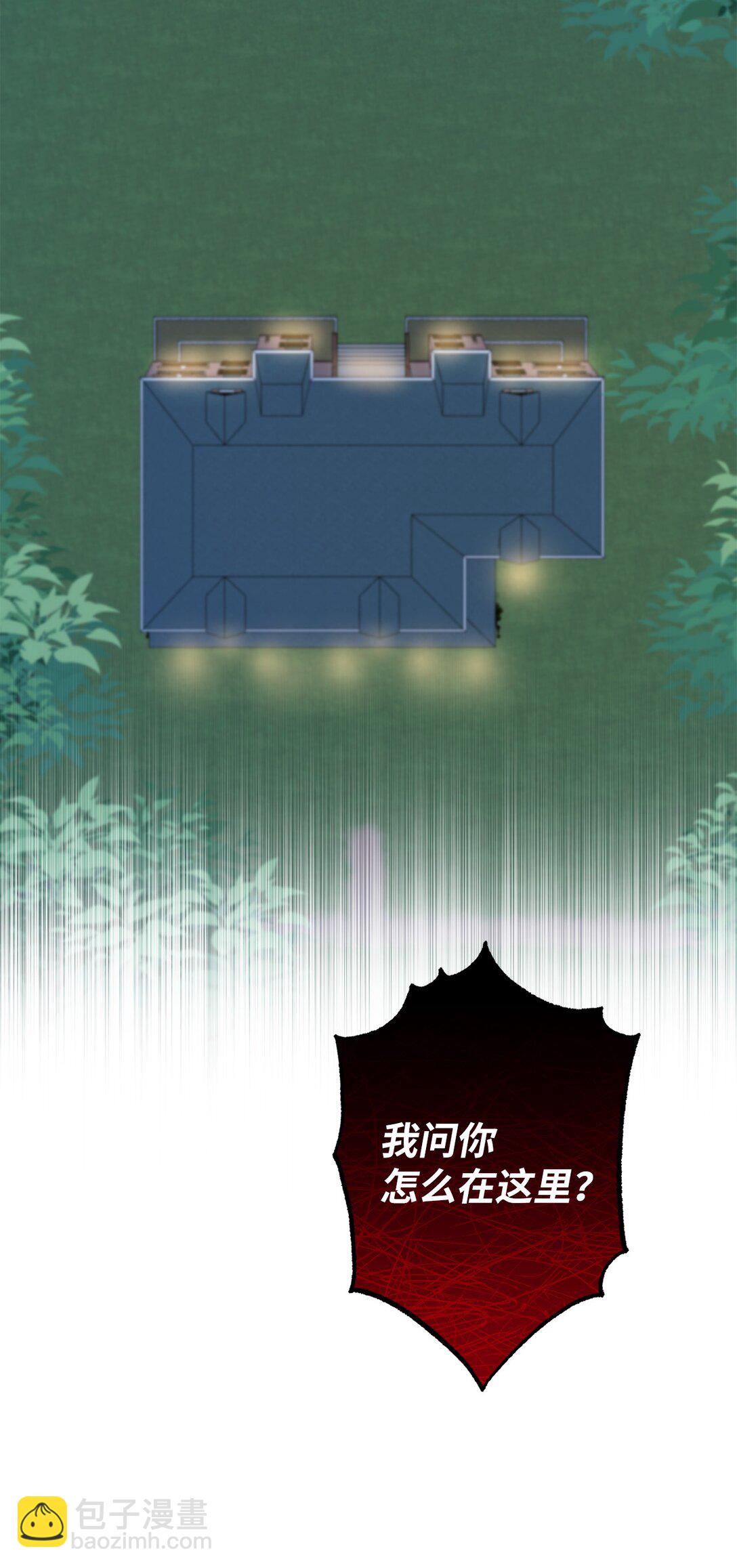 《黑幕的年幼资助人》53 建议 第35页