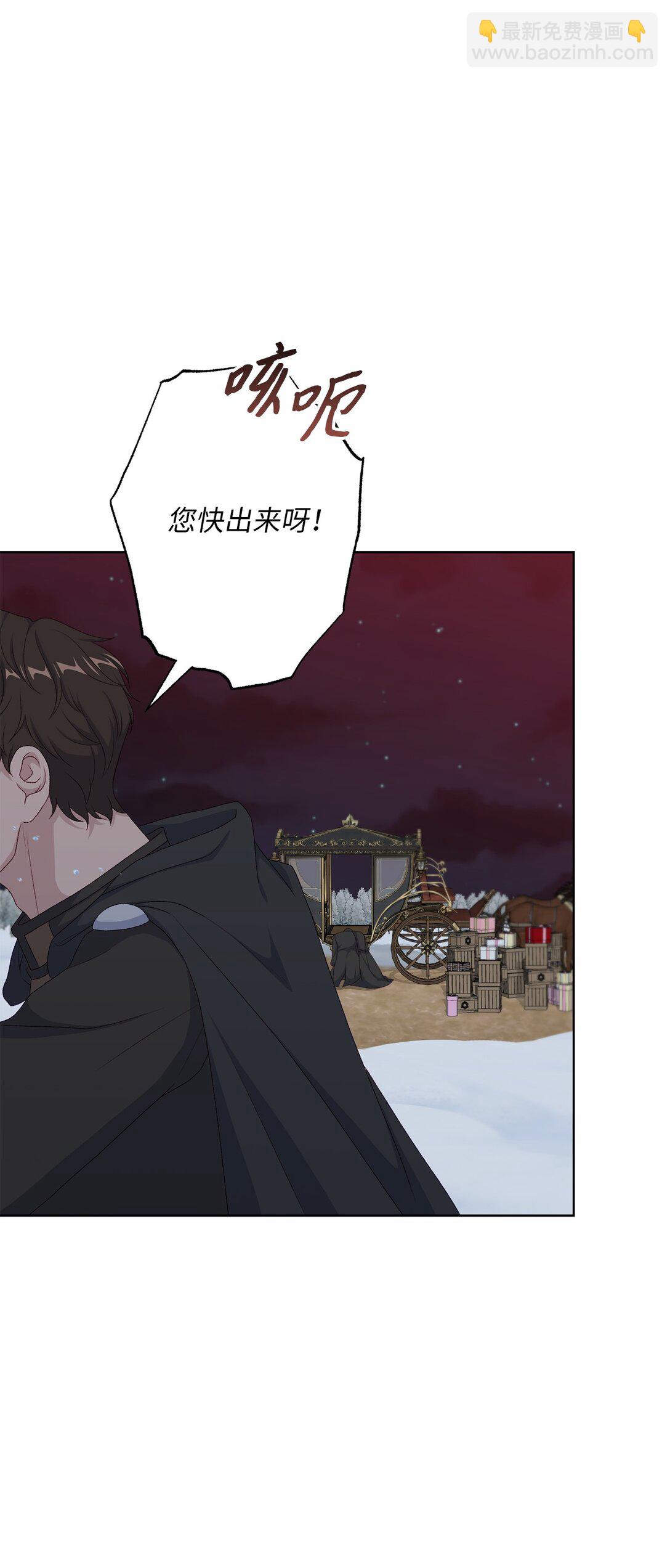 《黑幕的年幼资助人》59 灾难和拯救 第41页