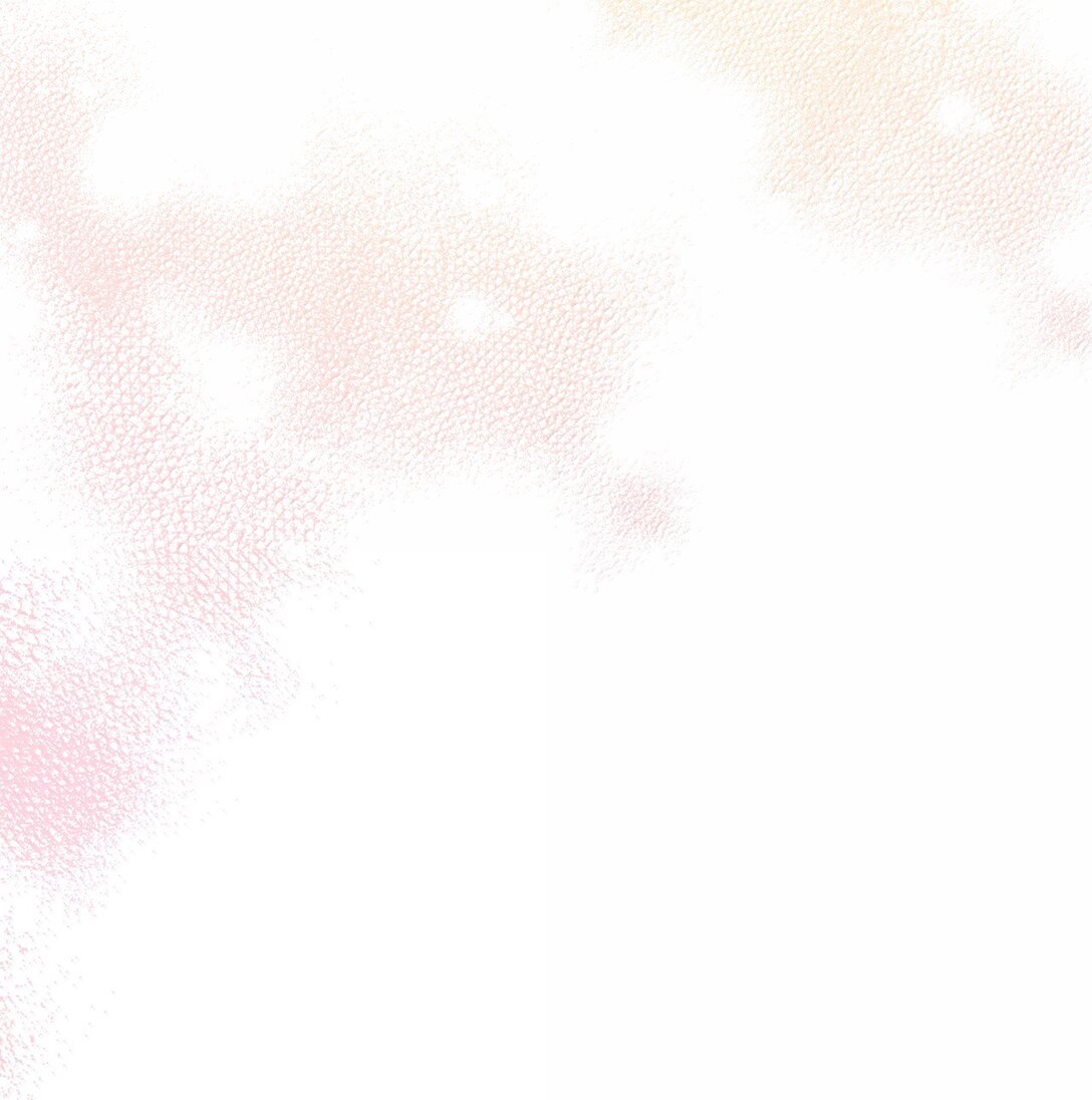 《黑幕的年幼资助人》63 传家宝 第49页