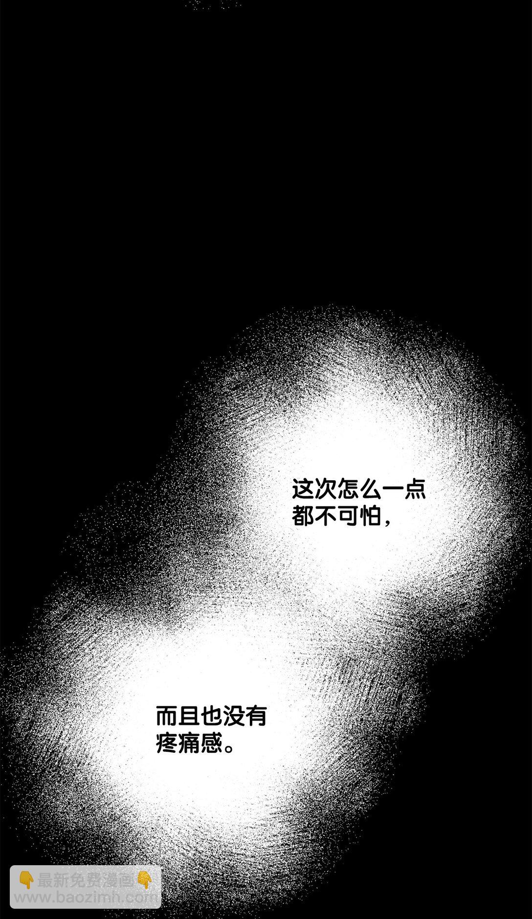 《黑幕的年幼资助人》64 袭击 第38页
