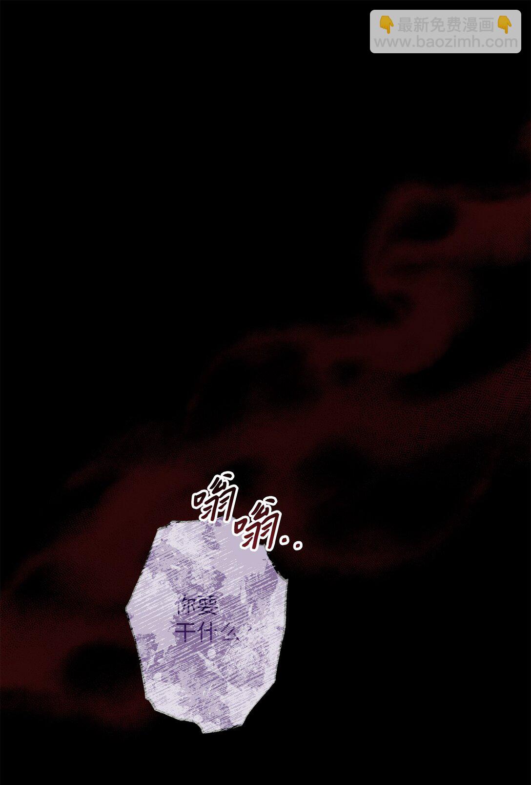 《黑幕的年幼资助人》64 袭击 第42页