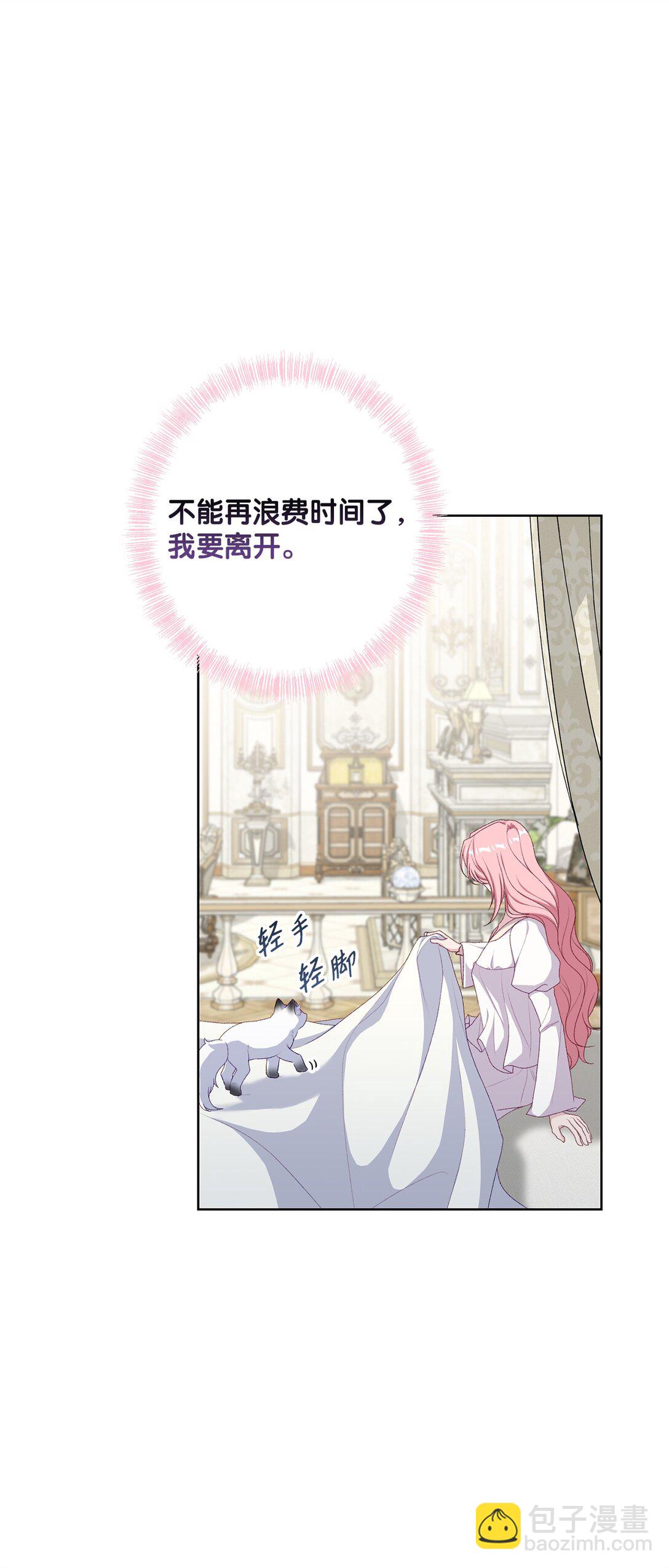《黑幕的年幼资助人》66 逃离 第40页