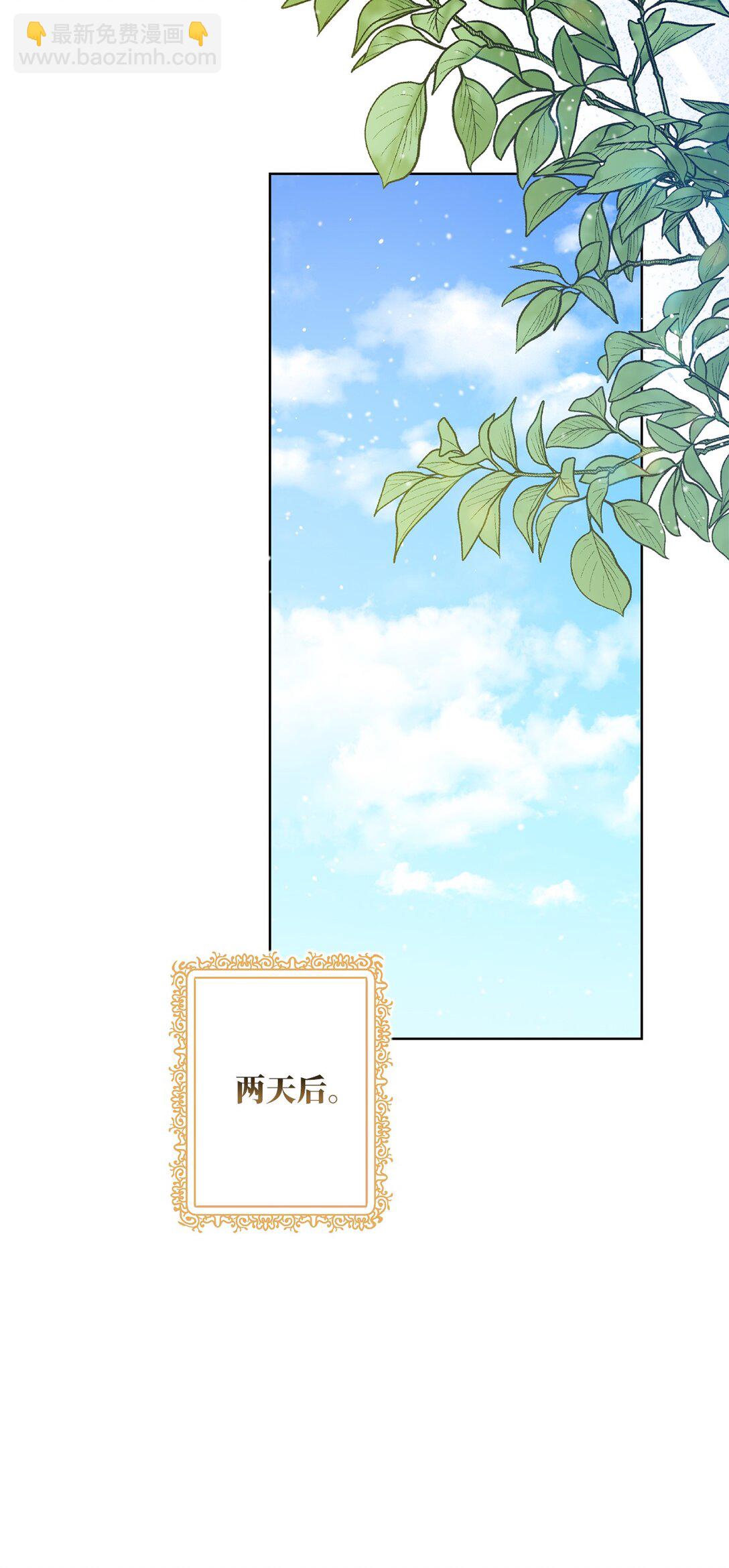 《黑幕的年幼资助人》71 黄金羽毛 第48页