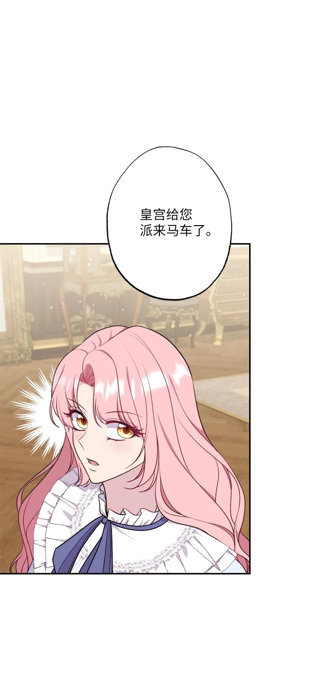 《黑幕的年幼资助人》76 皇帝的召见 第42页