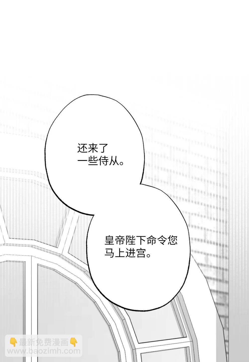《黑幕的年幼资助人》76 皇帝的召见 第43页