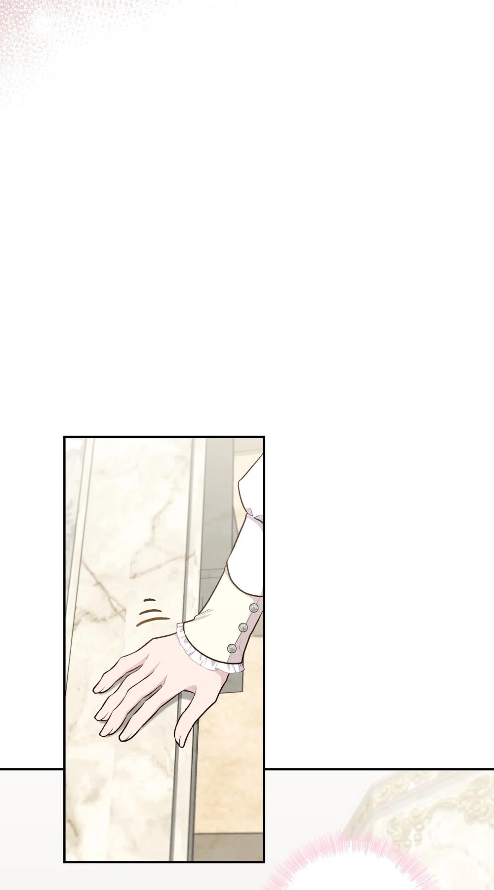 《黑幕的年幼资助人》76 皇帝的召见 第47页