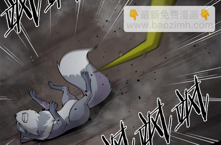 《宠魅【旧】》05 第一战，荆棘妖 第42页