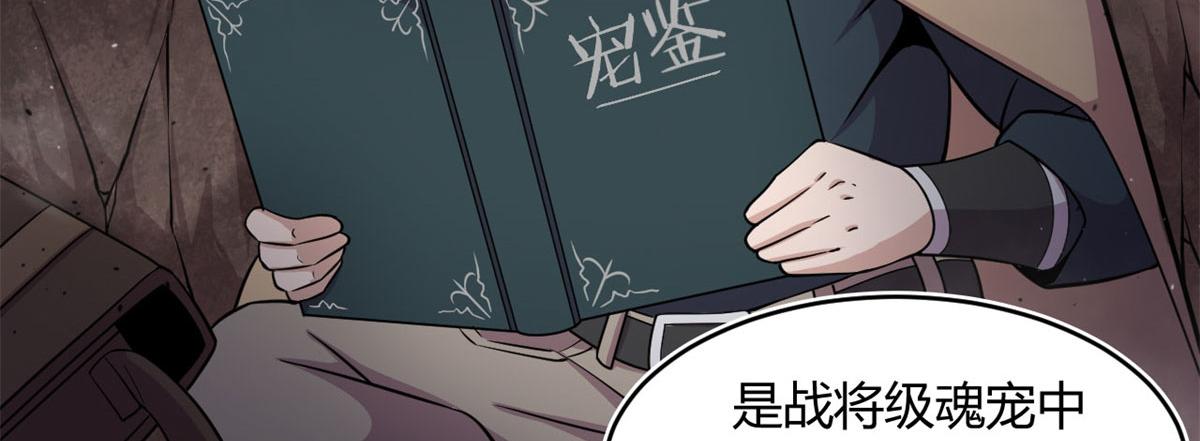 《宠魅【旧】》31 捕获新魂宠 第33页