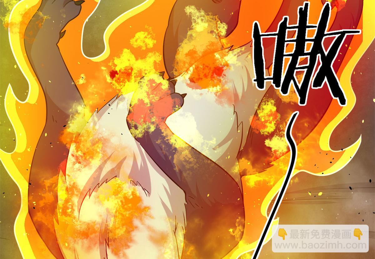 《宠魅【旧】》39 真正的实力 第29页