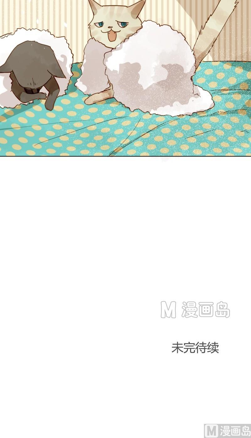 《女装室友研修期》第08话 人猫大战 第15页