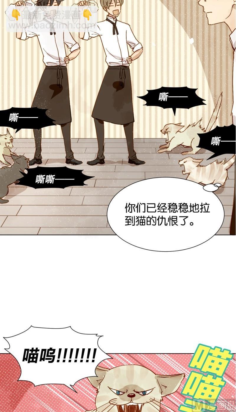 《女装室友研修期》第08话 人猫大战 第6页