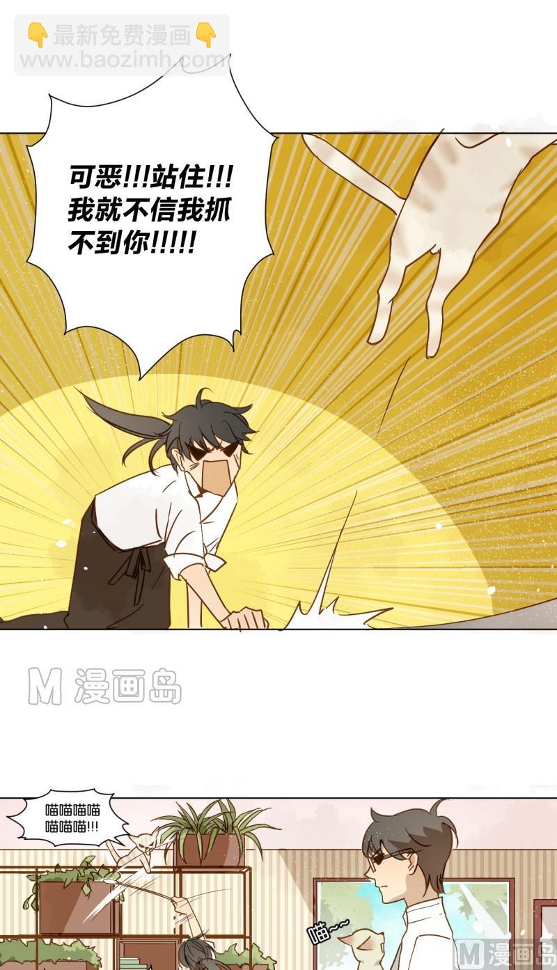 《女装室友研修期》第08话 人猫大战 第8页