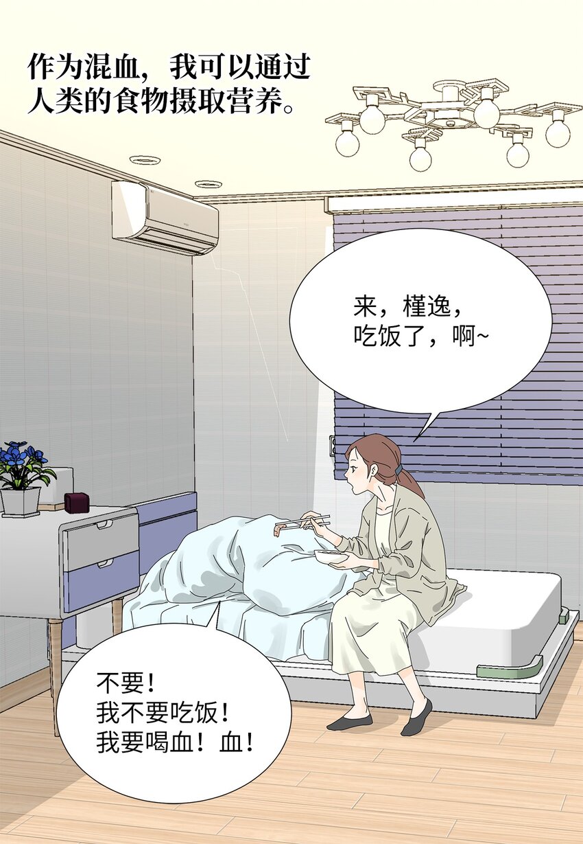 《吸血鬼厨师》24 一起吃便当 第24页