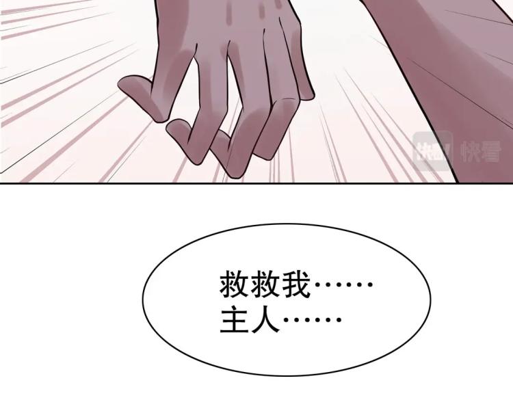 《珠宝都在求我撩它》第31话 珠宝的求宠套路 第43页