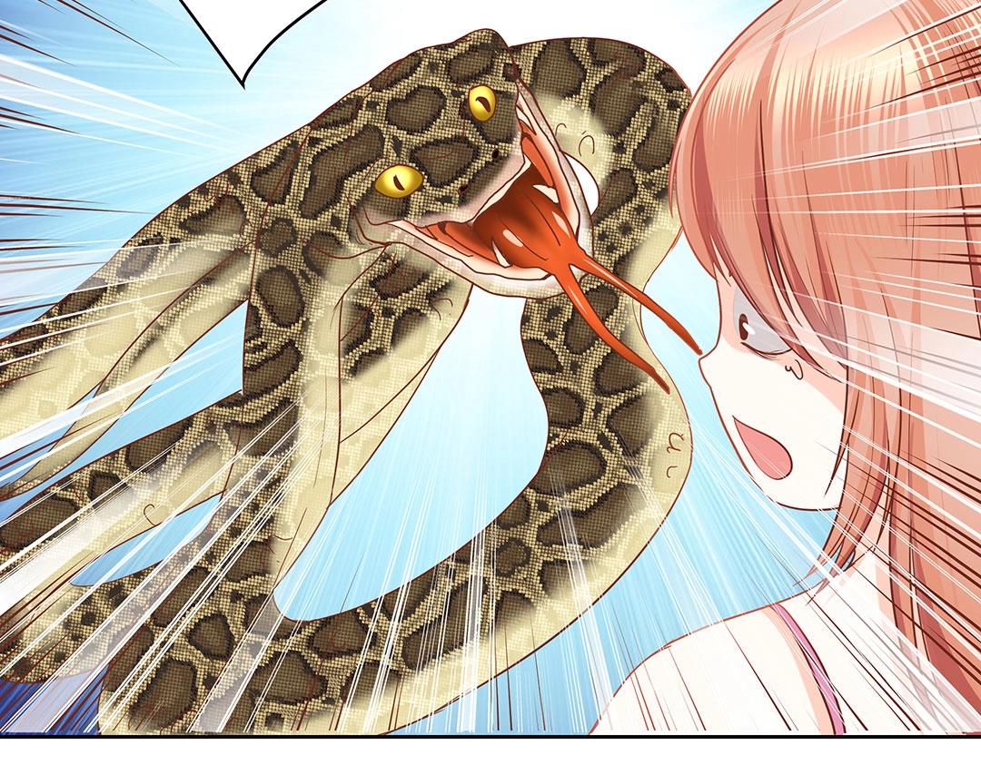 《珠宝都在求我撩它》第45话 警报！毒蛇来袭！ 第49页