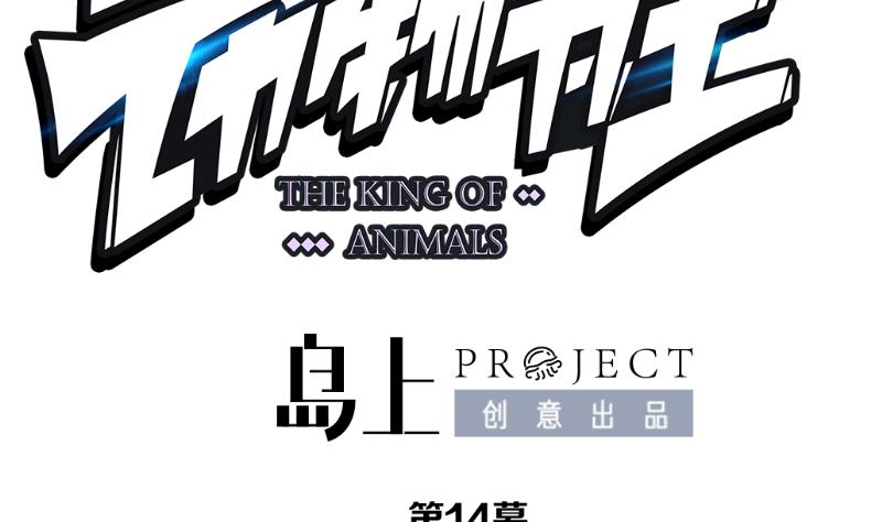 《动物为王》第14话 不作死就不会死 第2页