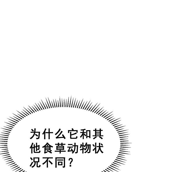 《动物为王》第15话 暗中观察 第34页