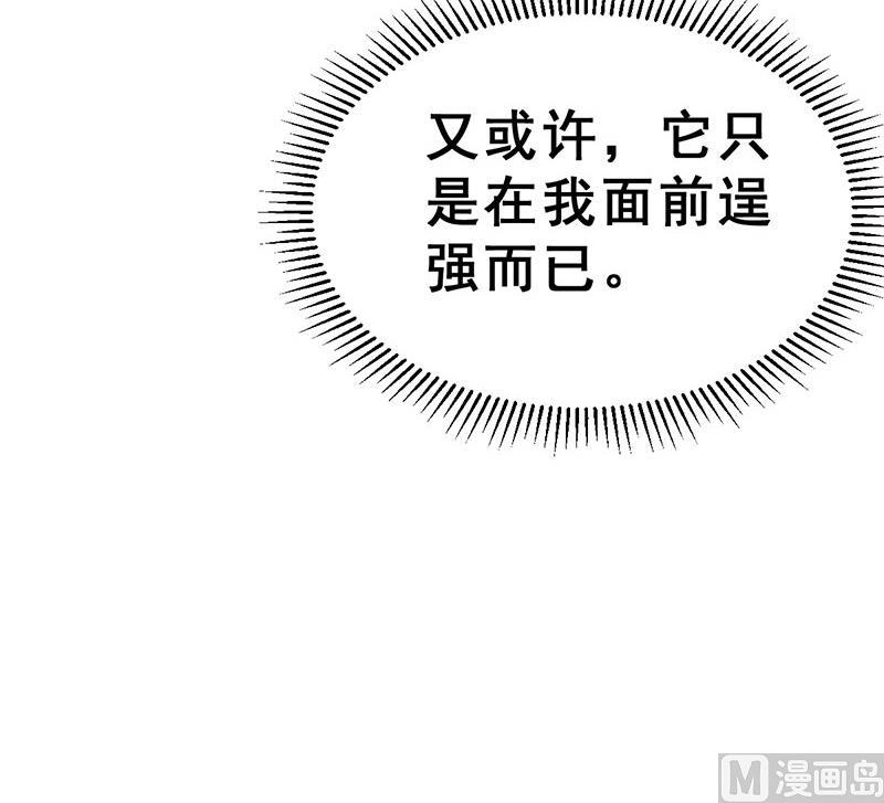 《动物为王》第15话 暗中观察 第36页