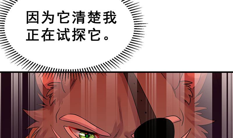 《动物为王》第15话 暗中观察 第38页