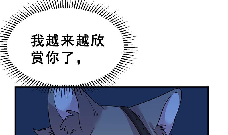 《动物为王》第15话 暗中观察 第43页