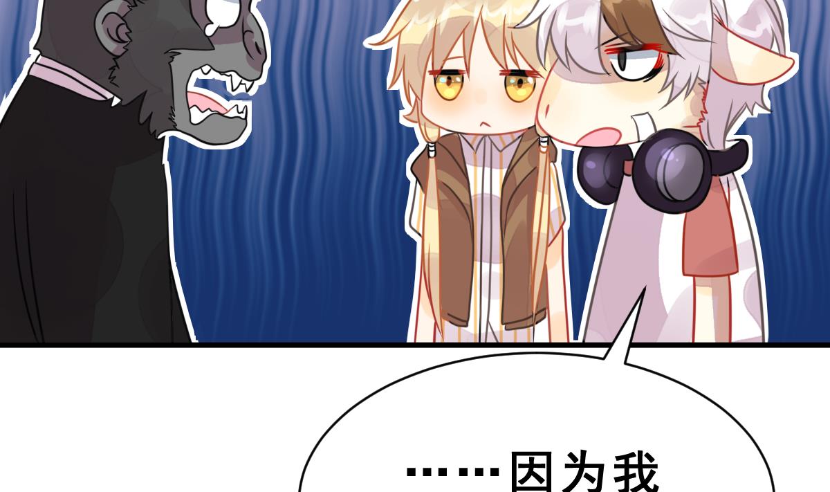 《动物为王》第36话 教主的计划 第37页