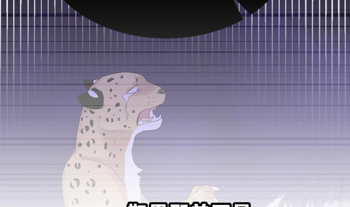 《动物为王》第41话 第二个金手指 第37页