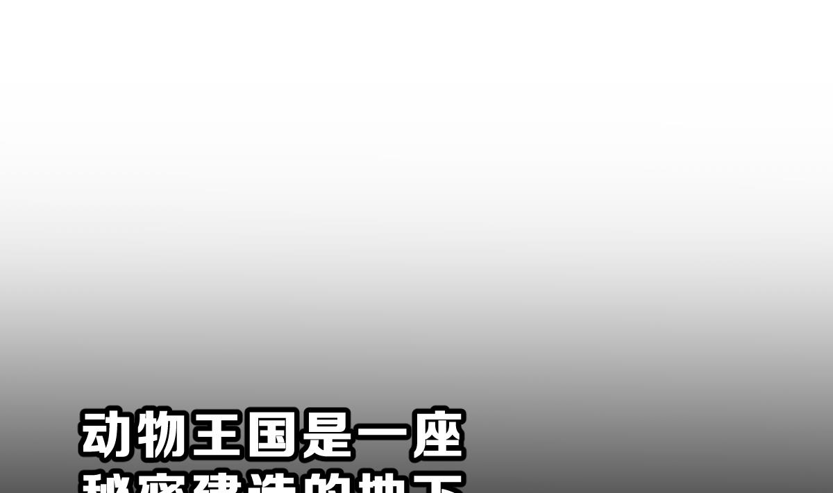 《动物为王》第49话 背叛者 第37页