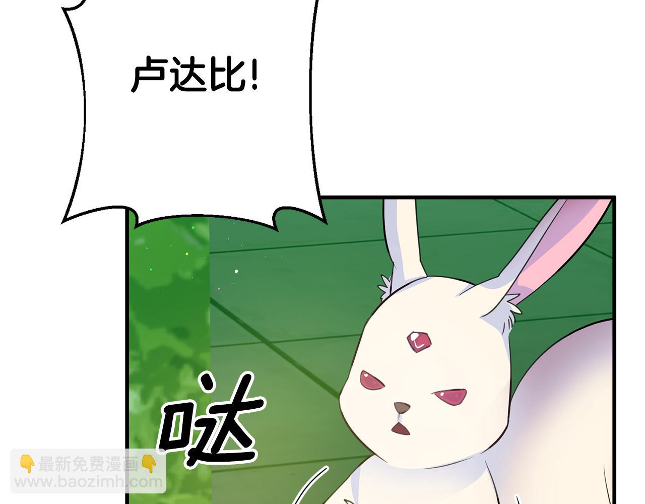 《驯养的小姐》第68话 内情 第17页
